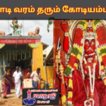 ஓடிவந்து வரம் தரும் தஞ்சாவூர் கோடியம்மன்