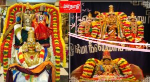 தஞ்சை ராஜ வீதிகளில் பெருமாள் வீதி உலா கருட சேவை