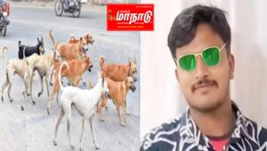 தெரு நாய் கடித்ததை அலட்சியப்படுத்திய இளைஞர் பரிதாப மரணம்